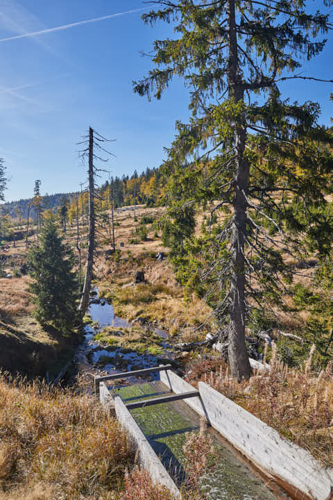 Gemeinde Lindberg Landkreis Regen Hirschbachschwelle Holztrift Schachtenwanderung (Dirschl Johann) Deutschland REG